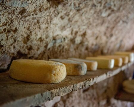 cheese on the mountain pasture while it is maturing on the farmの写真素材