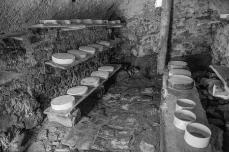 cheese on the mountain pasture while it is maturing on the farmの写真素材