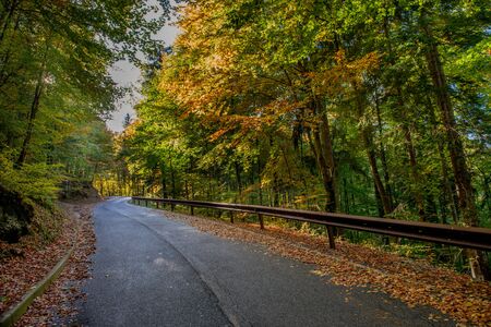 bend in mountain road in the forest in autumnの写真素材