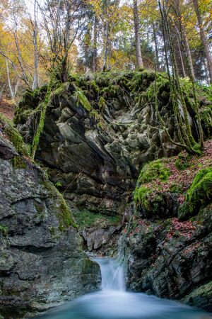 mountain river in the autumnの写真素材