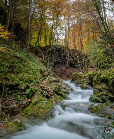 mountain river in the autumnの写真素材