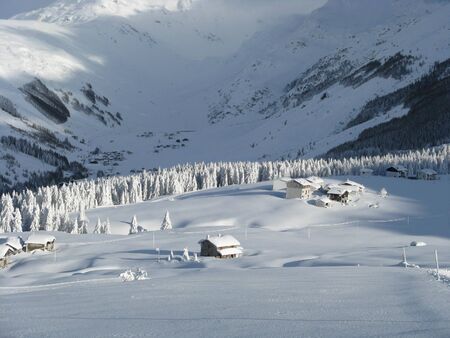 enchanted landscape after heavy snowfallの写真素材