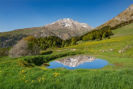 mountain reflecting in the pondの写真素材