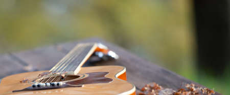 guitar resting on the table among the leaves