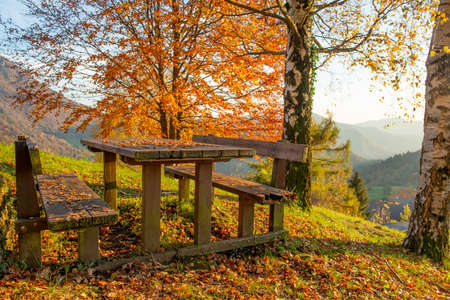 bench with table in the parkの写真素材