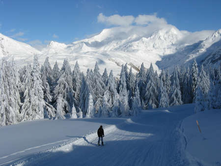 mountain landscape after heavy snowfallの写真素材