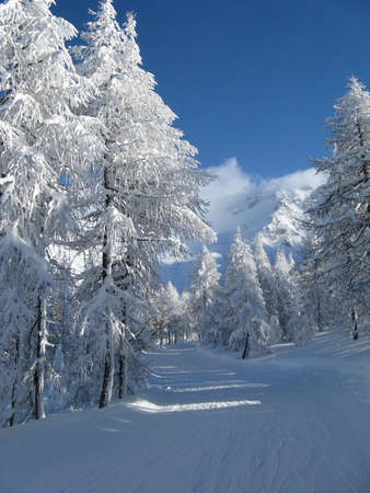 mountain landscape after heavy snowfallの写真素材