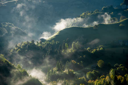 fog in the morning illuminated by the sunの写真素材