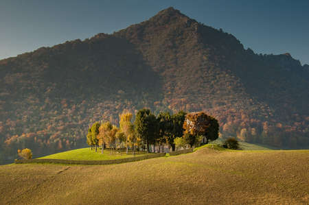 Hidden hunting lodge cuts treesの写真素材