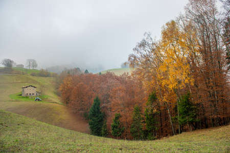 Agricultural farmhouse in the hills immersed in the fogの写真素材