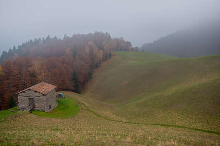 Agricultural farmhouse in the hills immersed in the fogの写真素材