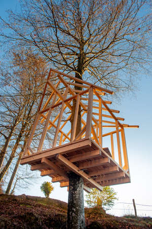 building a house in a treeの写真素材
