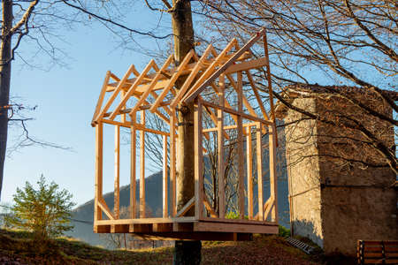 building a house in a treeの写真素材