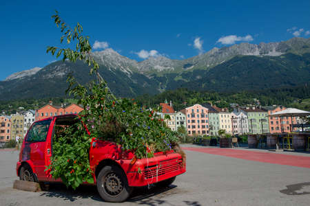 Innsbruck austria 27 July 2020: End of life car with tree sticking out of the roofのeditorial素材