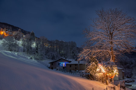 tree lit with holiday lights after a snowfallの写真素材