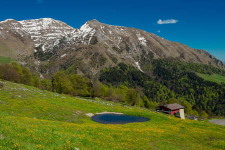 Mountain lake surrounded by flourishing vegetationの写真素材