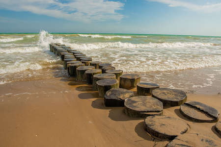 log walkway by the seaの写真素材