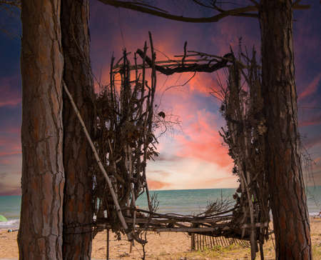 woods that create a window on the seaの写真素材