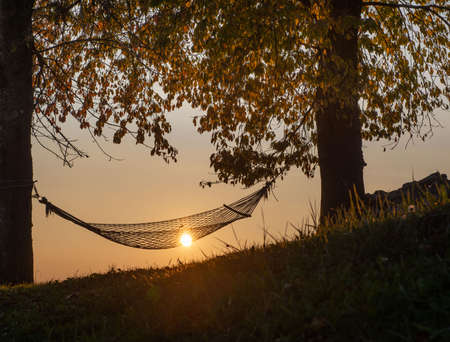 Hammock hanging between trees at sunsetの写真素材