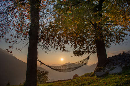 Hammock hanging between trees at sunsetの写真素材