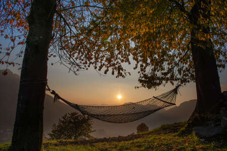 Hammock hanging between trees at sunsetの写真素材
