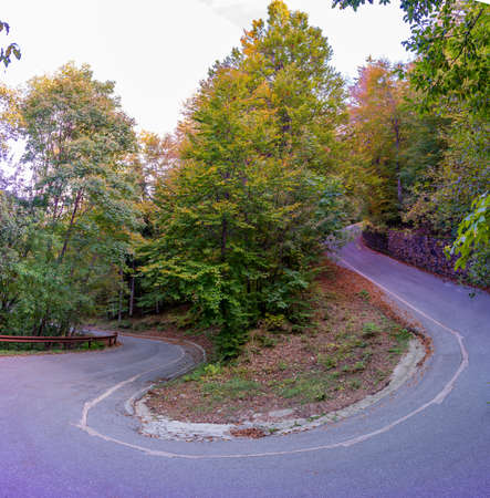 mountain road in the autumn season