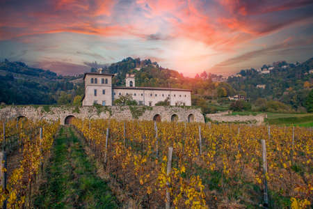 vineyard of the monastery of altino in bergamoの写真素材