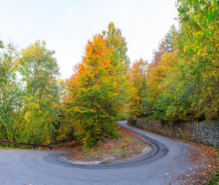Mountain road in the autumn forestの写真素材