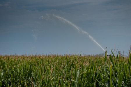 Watering the corn field mobile conceptの写真素材
