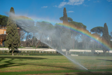 Garden irrigation system in operationの写真素材