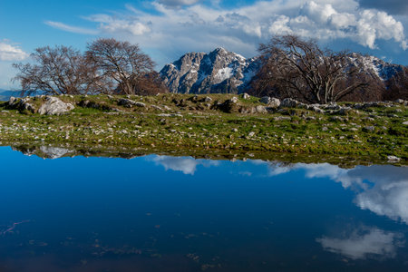 Pond where the snow-capped mountains are reflectedの写真素材