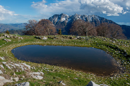 Pond where the snow-capped mountains are reflectedの写真素材