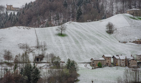 Tree with snowy meadow in springの写真素材