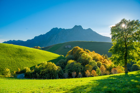 Cottage surrounded by nature in autumnの写真素材