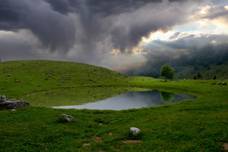 Drinking trough for cows in the mountain pastures after the stormの写真素材