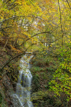 Water falls in the forest in autumnの写真素材