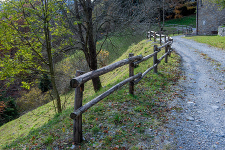 Country road in the woods with colorful treesの写真素材