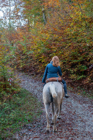 Horseback riding in the woods in autumnの写真素材