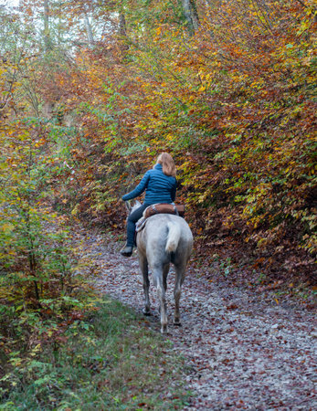 Horseback riding in the woods in autumnの写真素材