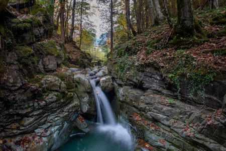 Waterfall in the forest in autumn