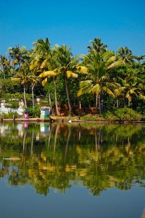 Backwaters in Kerala, Indiaの写真素材