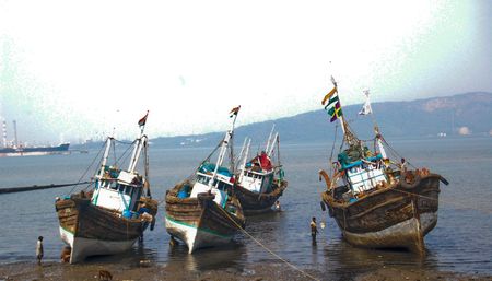 boats in elephant Islandの写真素材
