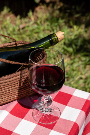 Wine bottle and a glass of red wine on a picnic tableの写真素材