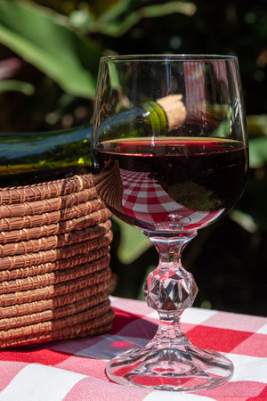 Glass of red wine on a tablecloth in a vineyard.の写真素材