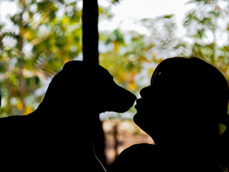 dog and girl silhouetteの写真素材