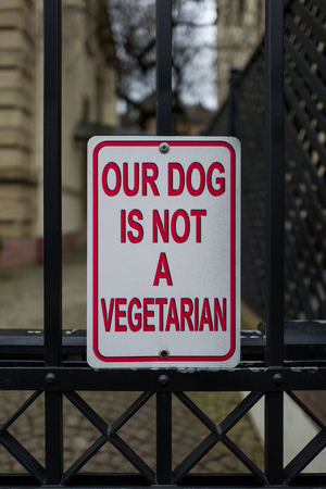 dog is no vegetarianの写真素材