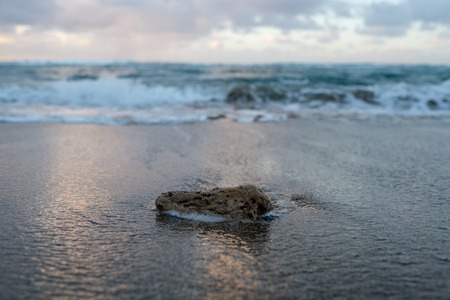 coasline in Gran Canaria