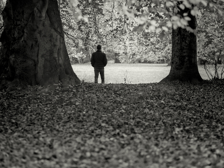 back of man in parkの写真素材