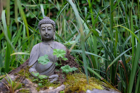 Buddha statueの写真素材
