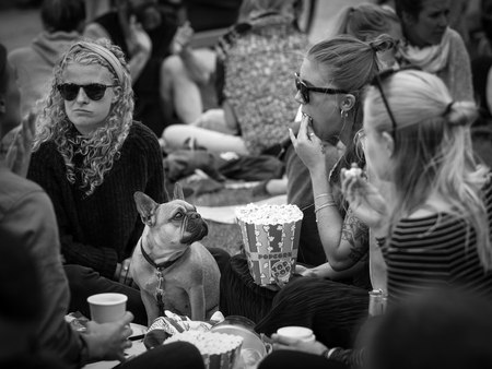 Young girls with dog at Stella Polarisのeditorial素材